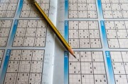 体育综合训练基地，项目概览与训练价值